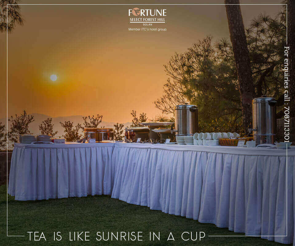 Best graphic designing company in Chandigarh